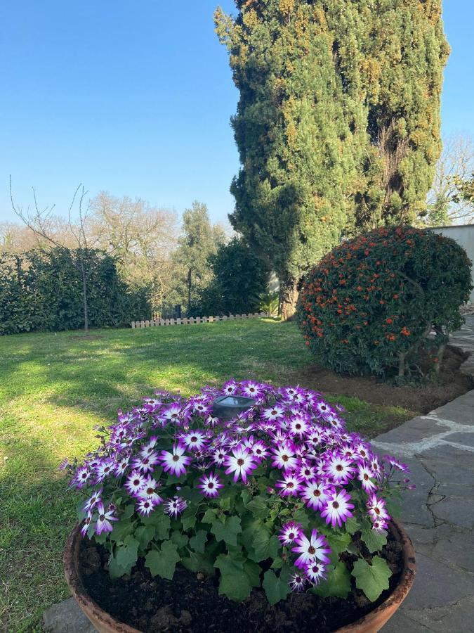 Villa Del Rubbio Roma Exterior foto